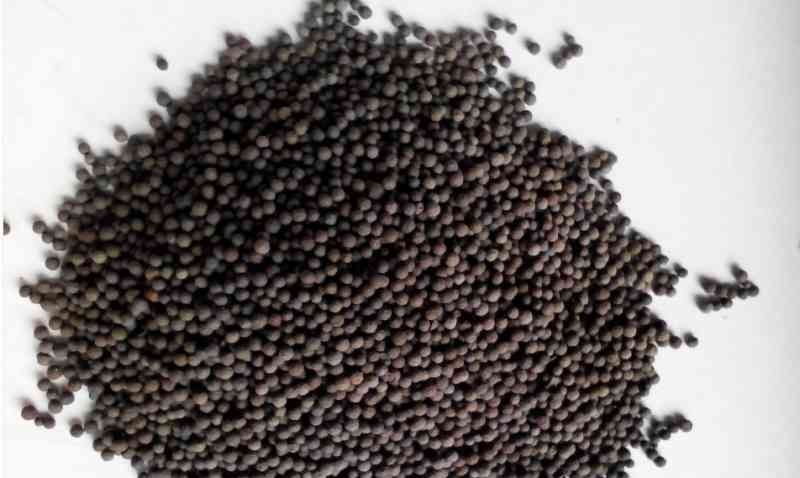 http://m.sh-shangwei.cn