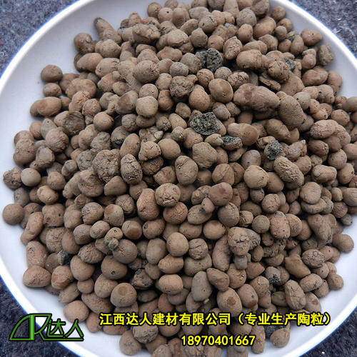 http://m.sh-shangwei.cn