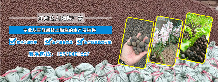 http://m.sh-shangwei.cn